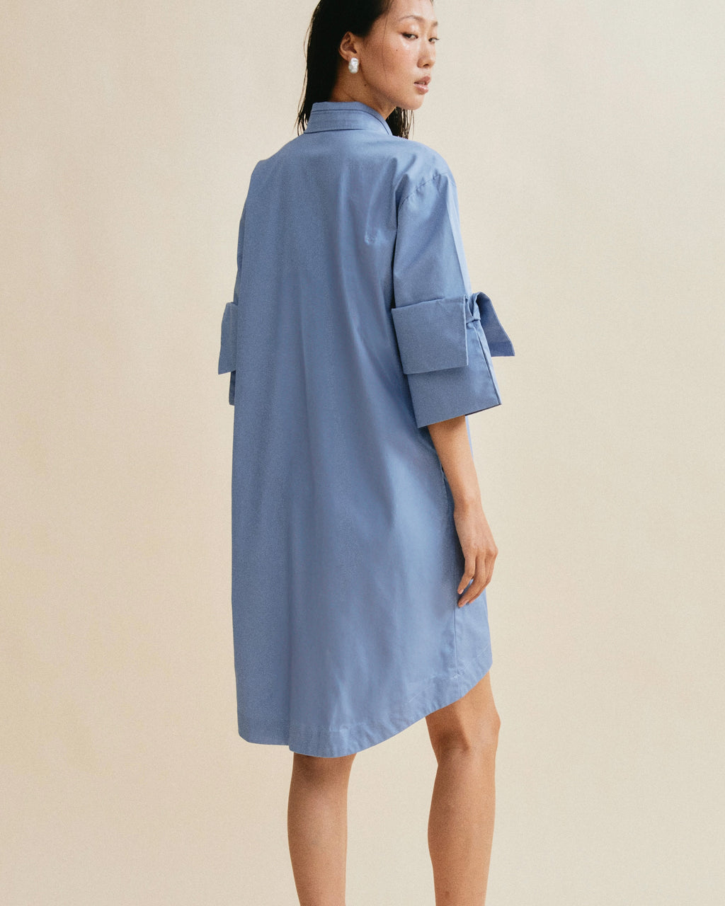 Sky Pond Shirt Dress